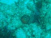 sm_PA297255.JPG