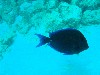 sm_PA297262.JPG