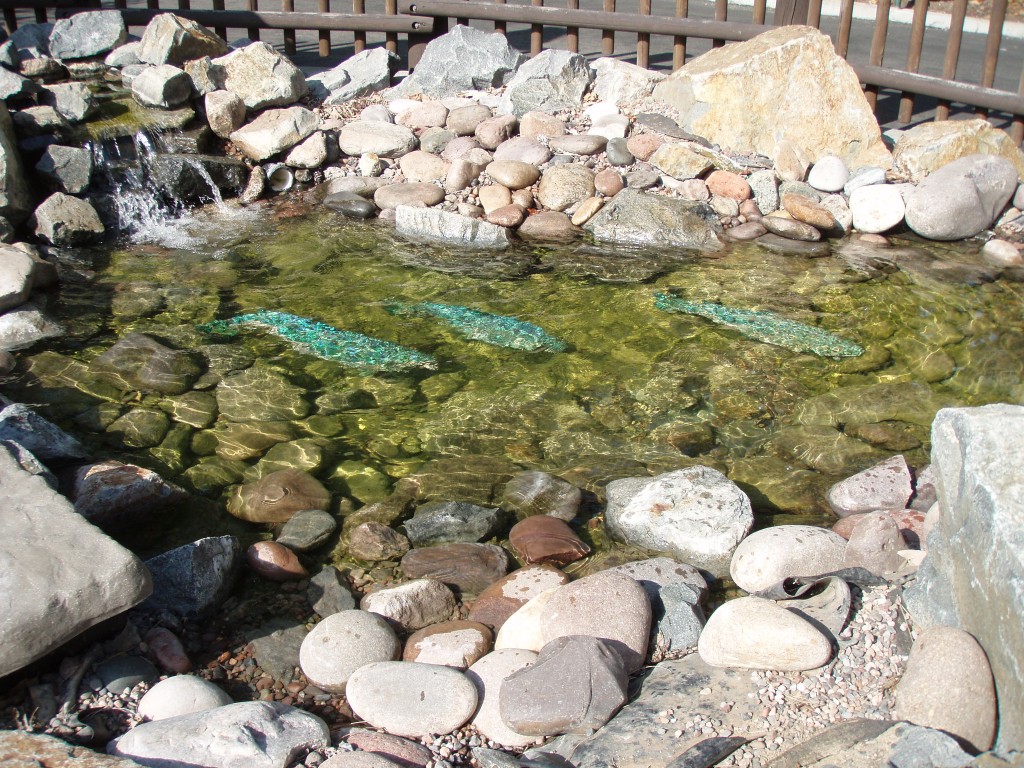 sm_p7033756.jpg