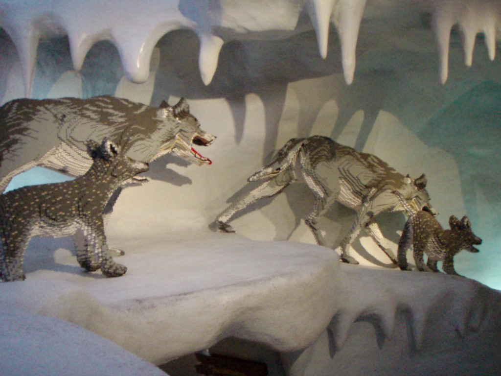 sm_p7033835.jpg