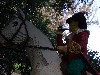 sm_p7033906.jpg