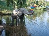 sm_p7033940.jpg