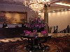 sm_pict0083.jpg