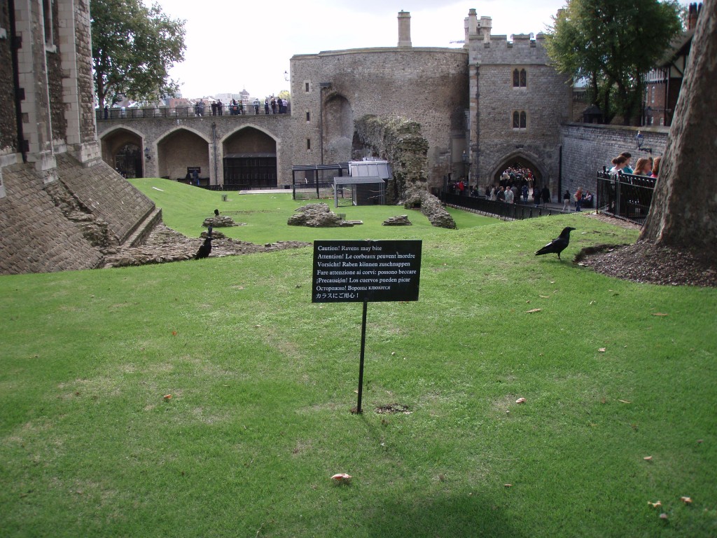 sm_pa080439.jpg