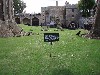 sm_pa080439.jpg