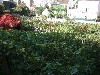 sm_pa100568.jpg