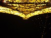 sm_pa100679.jpg