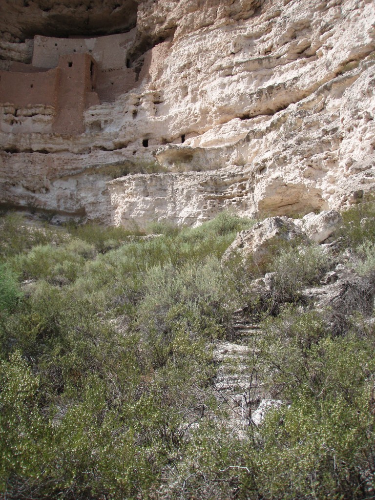sm_p6050745.jpg