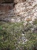 sm_p6050745.jpg