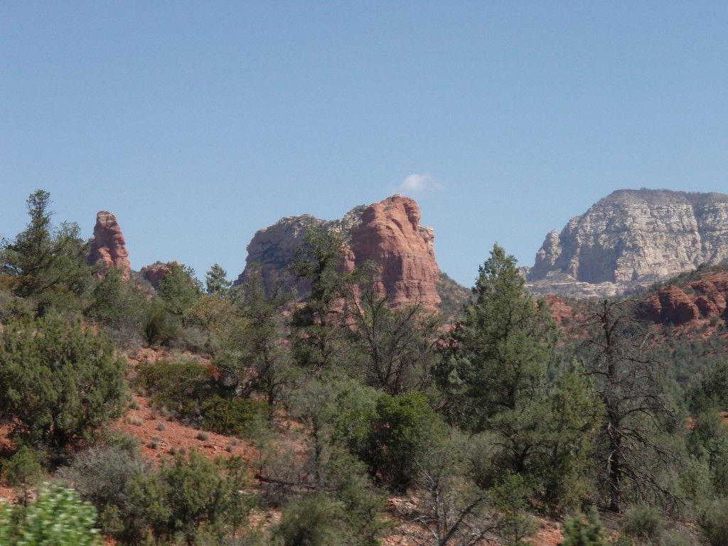 sm_p6060855.jpg