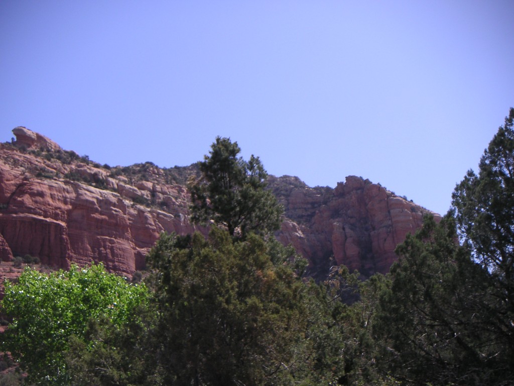 sm_pict0129.jpg