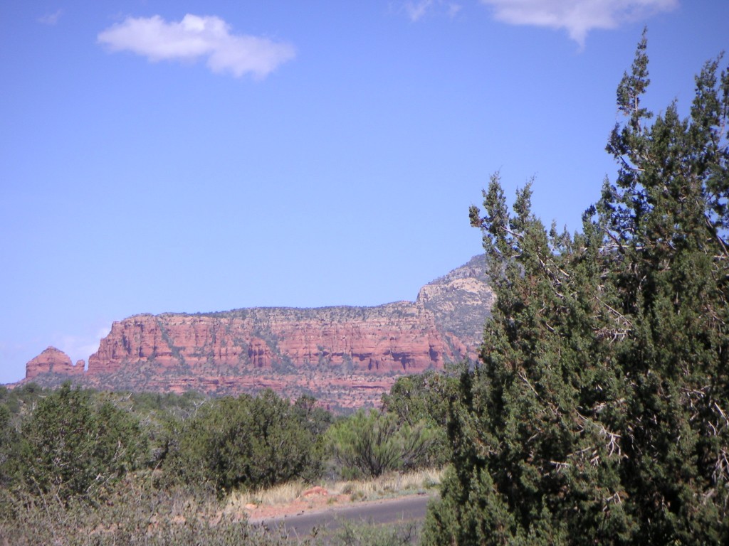 sm_pict0134.jpg