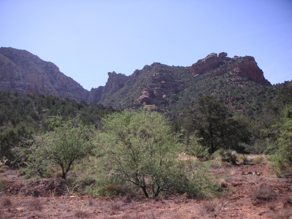 sm_pict0136.jpg