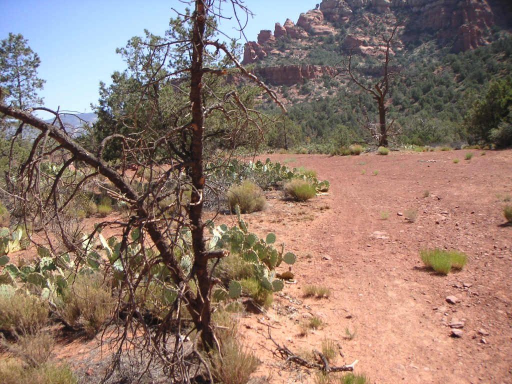 sm_pict0141.jpg