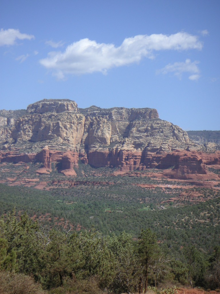 sm_pict0181.jpg