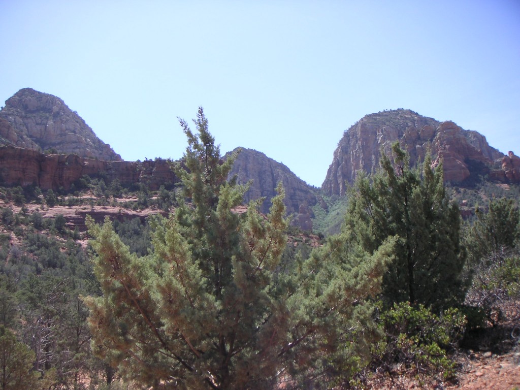 sm_pict0184.jpg