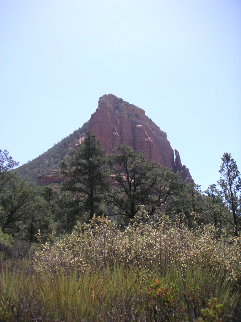 sm_pict0200.jpg