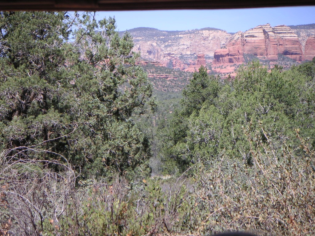 sm_pict0206.jpg