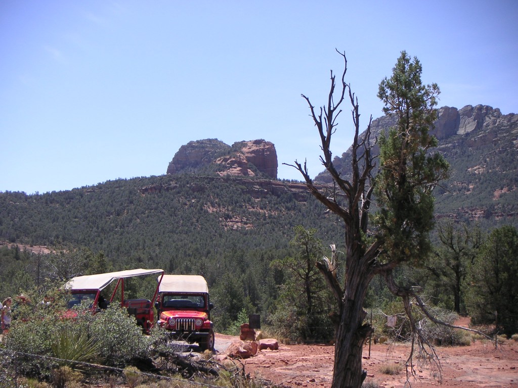 sm_pict0250.jpg