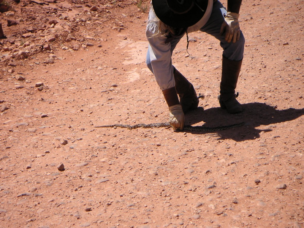 sm_pict0260.jpg