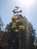 sm_p6060916.jpg