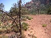 sm_pict0141.jpg