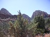 sm_pict0184.jpg