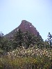 sm_pict0200.jpg