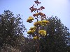 sm_pict0211.jpg
