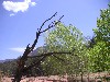 sm_pict0223.jpg