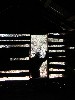 sm_pict0230.jpg