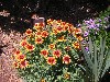 sm_pict0316.jpg