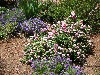 sm_pict0317.jpg