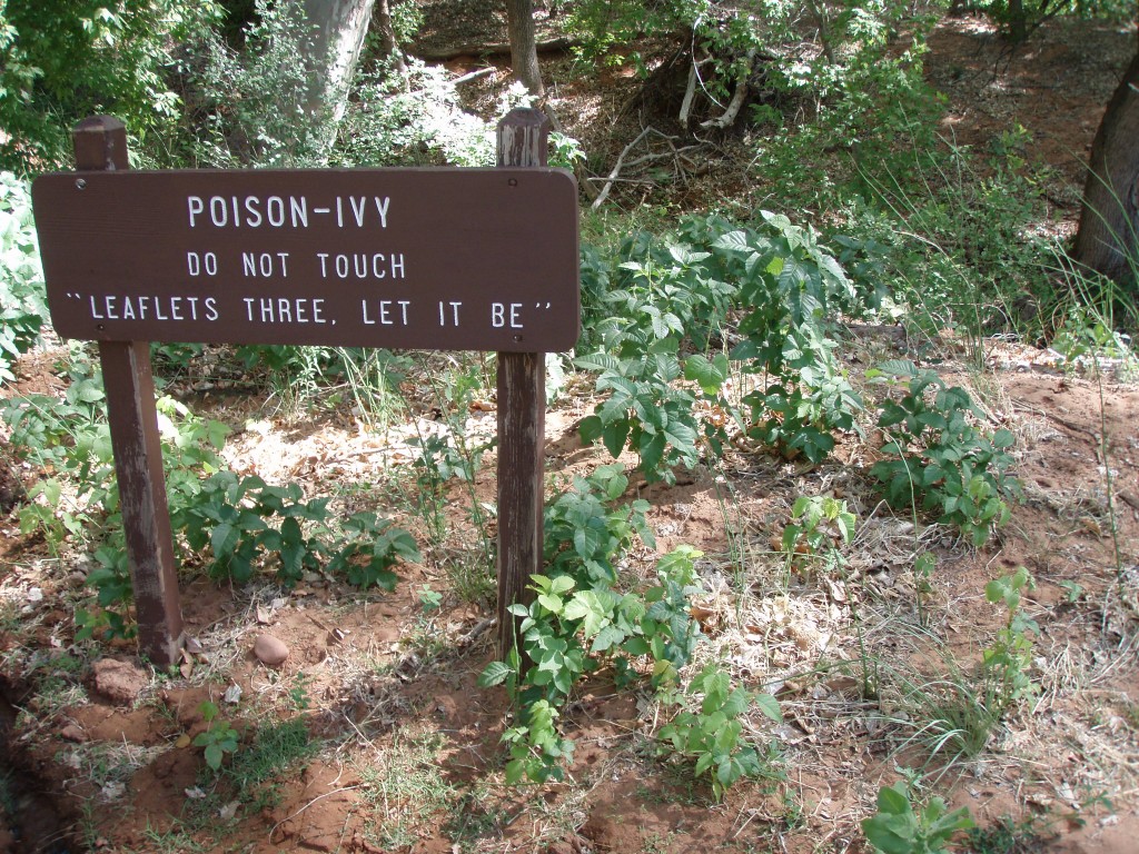 sm_p6071122.jpg
