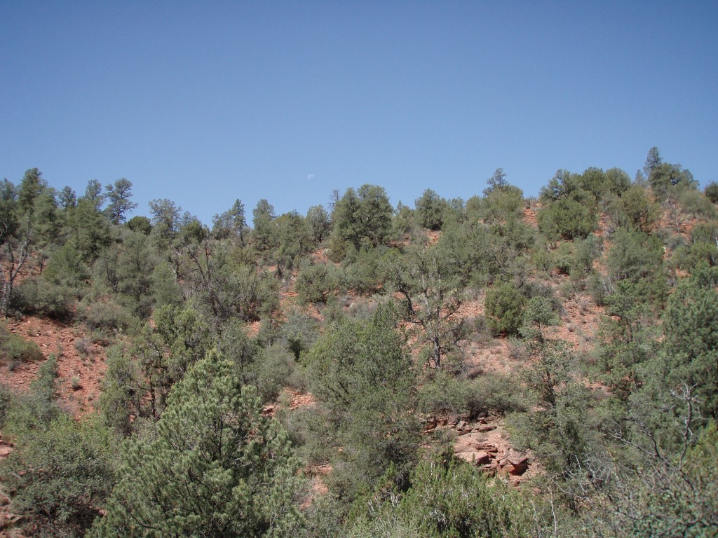 sm_p6071141.jpg