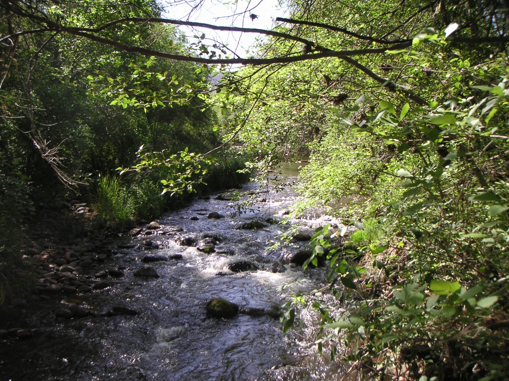 sm_pict0379.jpg