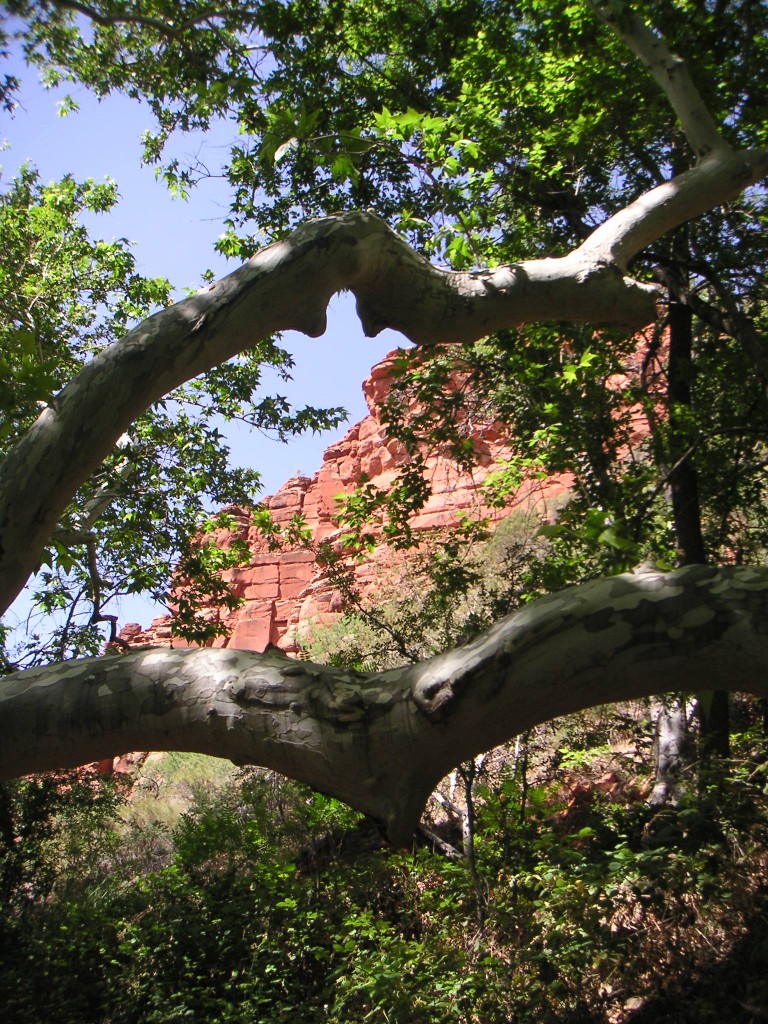 sm_pict0393.jpg