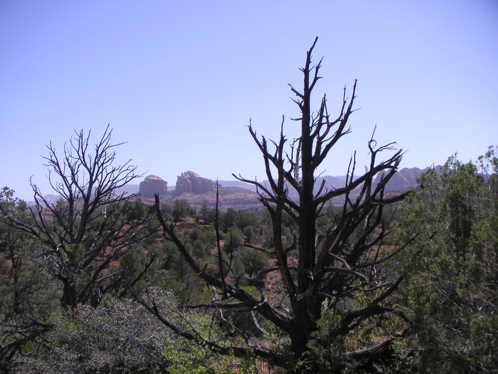 sm_pict0456.jpg