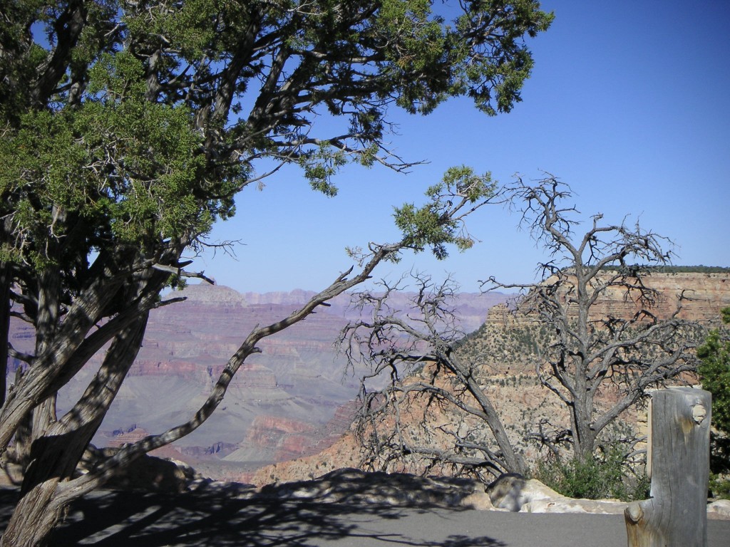 sm_pict0603.jpg