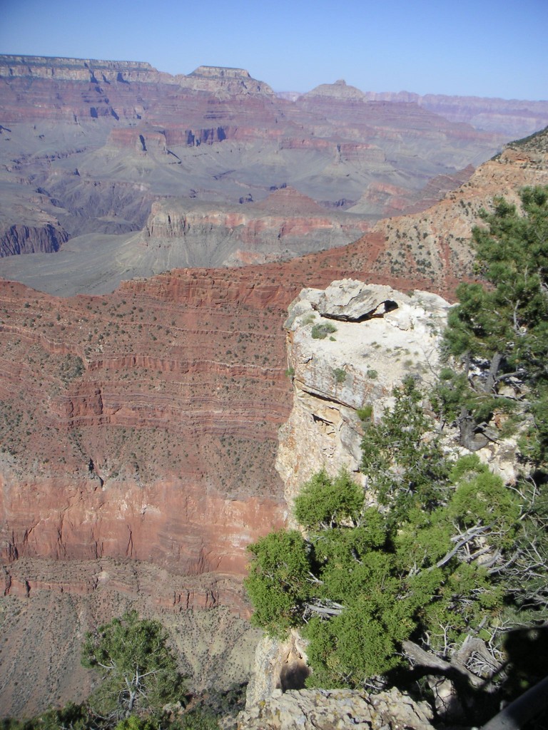 sm_pict0609.jpg