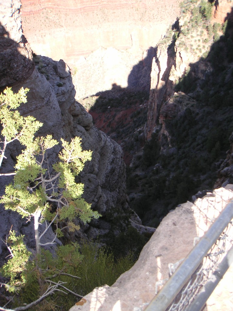 sm_pict0620.jpg
