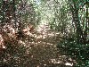 sm_p6071102.jpg