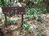 sm_p6071122.jpg