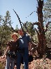 sm_p6071150.jpg