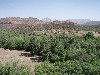 sm_p6071158.jpg