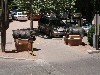 sm_p6071253.jpg