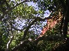 sm_pict0392.jpg
