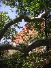 sm_pict0393.jpg