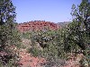 sm_pict0452.jpg
