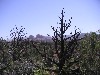 sm_pict0456.jpg